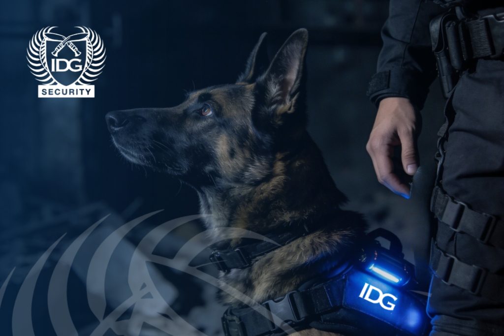 Why IDG Security Is the Trusted Partner for Challenging Environments